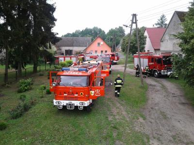 Ćwiczenie leśne w Krzemieniu